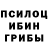 Псилоцибиновые грибы GOLDEN TEACHER Ivan Avramenco