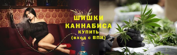 Альфа ПВП Аркадак