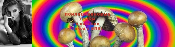 хмурый Армянск
