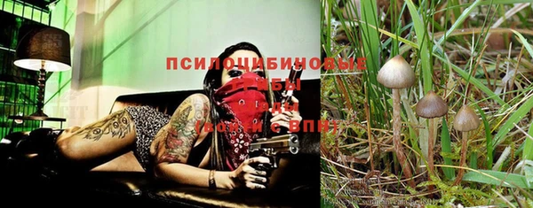 Альфа ПВП Аркадак