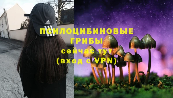 MDMA Premium VHQ Арсеньев