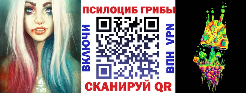 Псилоцибиновые грибы Psilocybe  Северобайкальск 